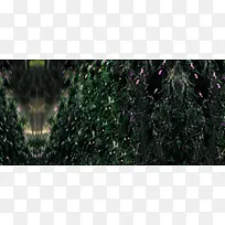 背景图片-空若网 背景图片-空若网