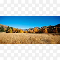 背景图片-空若网 背景图片-空若网