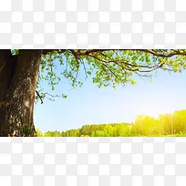 背景图片-空若网 背景图片-空若网