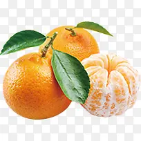 ���������ˮ������-������