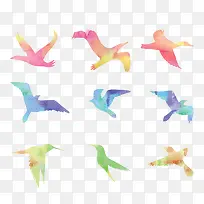 水彩鸟-空若网 水彩鸟-空若网