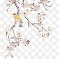 ��ˮ�ʻ���-������