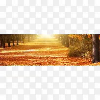 ���챳���ز���Ȼ�����ز�-������