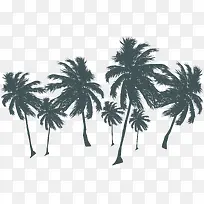 海报夏日摄影棕树-空若网 海报夏日摄影棕树-空若网