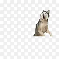 ������Ӱʵ��С��-������