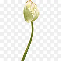 �ֻ��ɫ�ɰ�ͼƬ-������