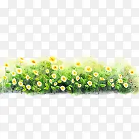 草和花-空若网 草和花-空若网