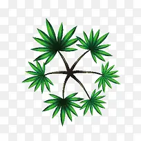 俯视树棕榈树-空若网 俯视树棕榈树-空若网