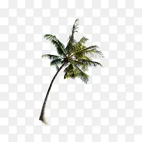 �����-������