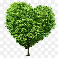 爱心树木医院海报-空若网 爱心树木医院海报-空若网