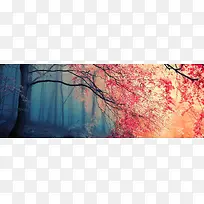 ��ɫ����-������