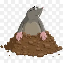 ��ͨʸ������-������