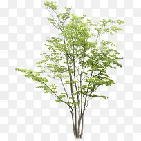 ���С��-������