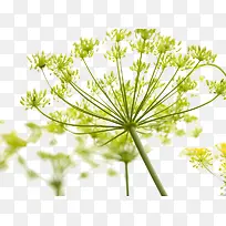 ��������-������