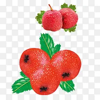 食物 山楂-空若网 食物 山楂-空若网