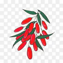 ����ʳƷ-������