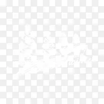 ��ɫ��ĿЧ��-������