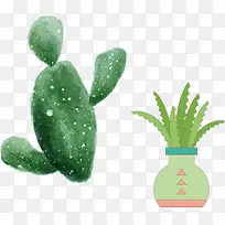 卡通清新仙人草-空若网 卡通清新仙人草-空若网