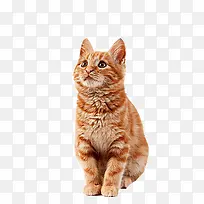 è+��~-������