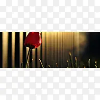 ¼òÔ¼±³¾°-¿ÕÈôÍø ¼òÔ¼±³¾°-¿ÕÈôÍø