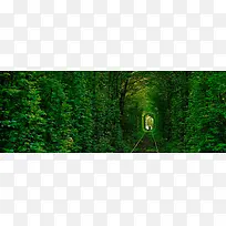 ��Լ����-������