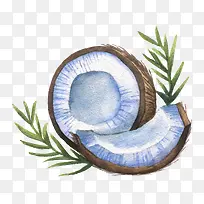 手绘椰子-空若网 手绘椰子-空若网