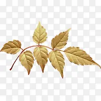 红叶免扣树枝-空若网 红叶免扣树枝-空若网