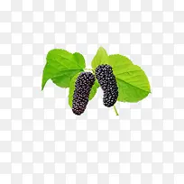 ɣ��-������