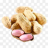 花生-空若网 花生-空若网