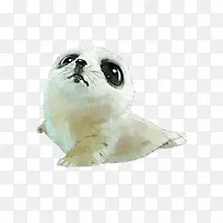 手绘卡通海豹-空若网 手绘卡通海豹-空若网