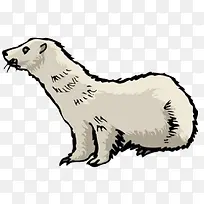 手绘海豹-空若网 手绘海豹-空若网