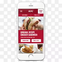 �ϵ»�ʳƷ�䷽��ζ��ը�ϵ»�-������