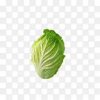 食物-空若网 食物-空若网