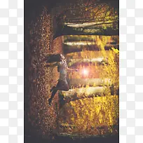 个性艺术摄影树林-空若网 个性艺术摄影树林-空若网