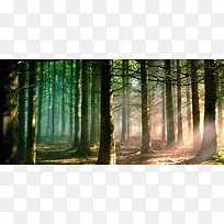 ���ֱ���-������