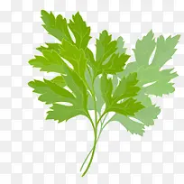 菜叶-空若网 菜叶-空若网