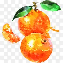 橘子手绘水彩设计-空若网 橘子手绘水彩设计-空若网