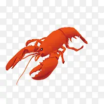 龙虾 食物 写实-空若网 龙虾 食物 写实-空若网