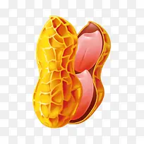 »¨ÉúʸÁ¿ËزÄ,»¨Éú,ʸÁ¿ËزÄ-¿ÕÈôÍø »¨ÉúʸÁ¿ËزÄ,»¨Éú,ʸÁ¿ËزÄ-¿ÕÈôÍø