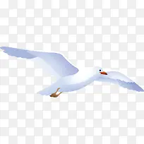 ʸ���ֻ�׸��ز�-������