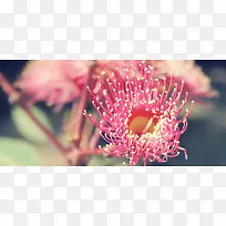 ¾«Æ·±³¾°-¿ÕÈôÍø ¾«Æ·±³¾°-¿ÕÈôÍø