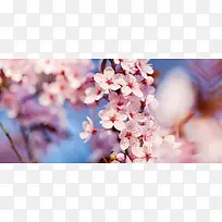 精品背景-空若网 精品背景-空若网