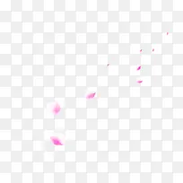 白色花瓣-空若网 白色花瓣-空若网