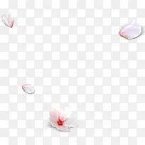 ��ɫ�����ɫ��-������