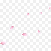 花瓣白色花瓣-空若网 花瓣白色花瓣-空若网