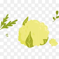 菜花PNG矢量素材-空若网 菜花PNG矢量素材-空若网