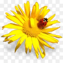 �����ز�-������