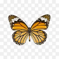 ������ɫ����-������