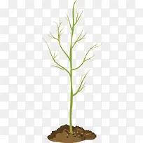 Ê÷ÃçʸÁ¿ËزÄ-¿ÕÈôÍø Ê÷ÃçʸÁ¿ËزÄ-¿ÕÈôÍø