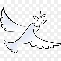 ��ͨ�ֻ�ɸ�-������